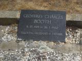 image of grave number 655718